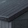 Keter Darwin 4x4 Outdoor Storage Shed - Grey | Small Resin Garden Tool Shed | Wood-Effect Weatherproof Double-Wall with Skylight & Ventilation — view 5